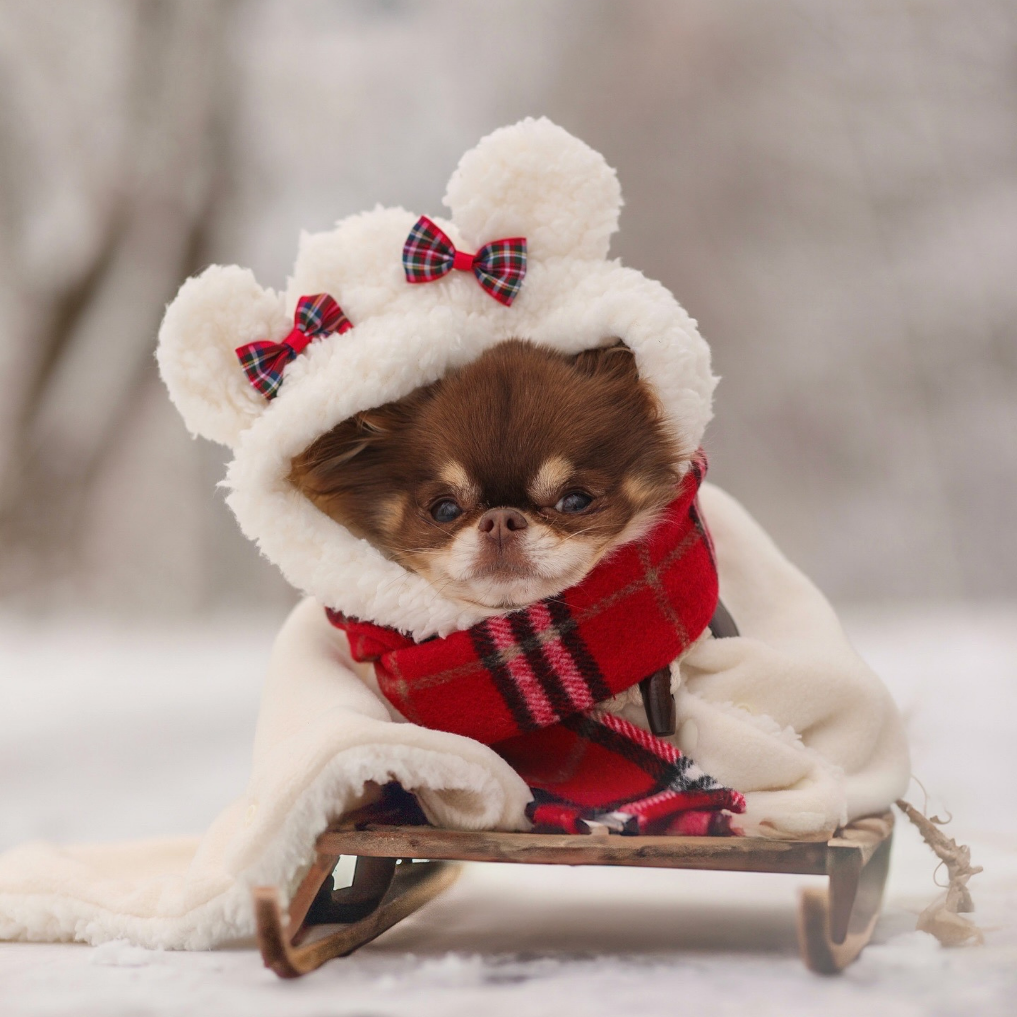 Plaid Scarf - Red