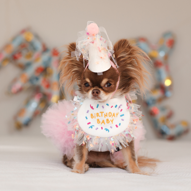 Birthday Set - Pink
