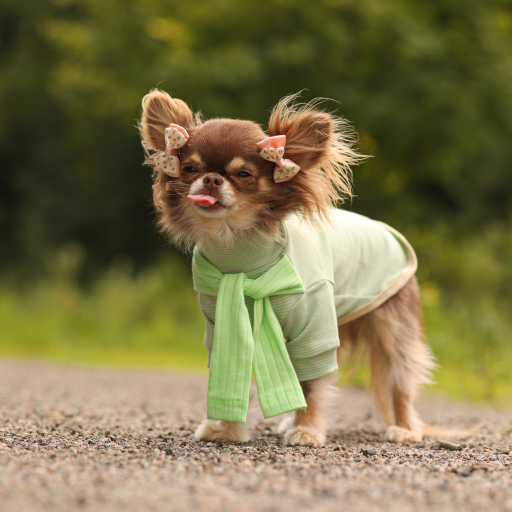 Striped Tee with Scarf - Green