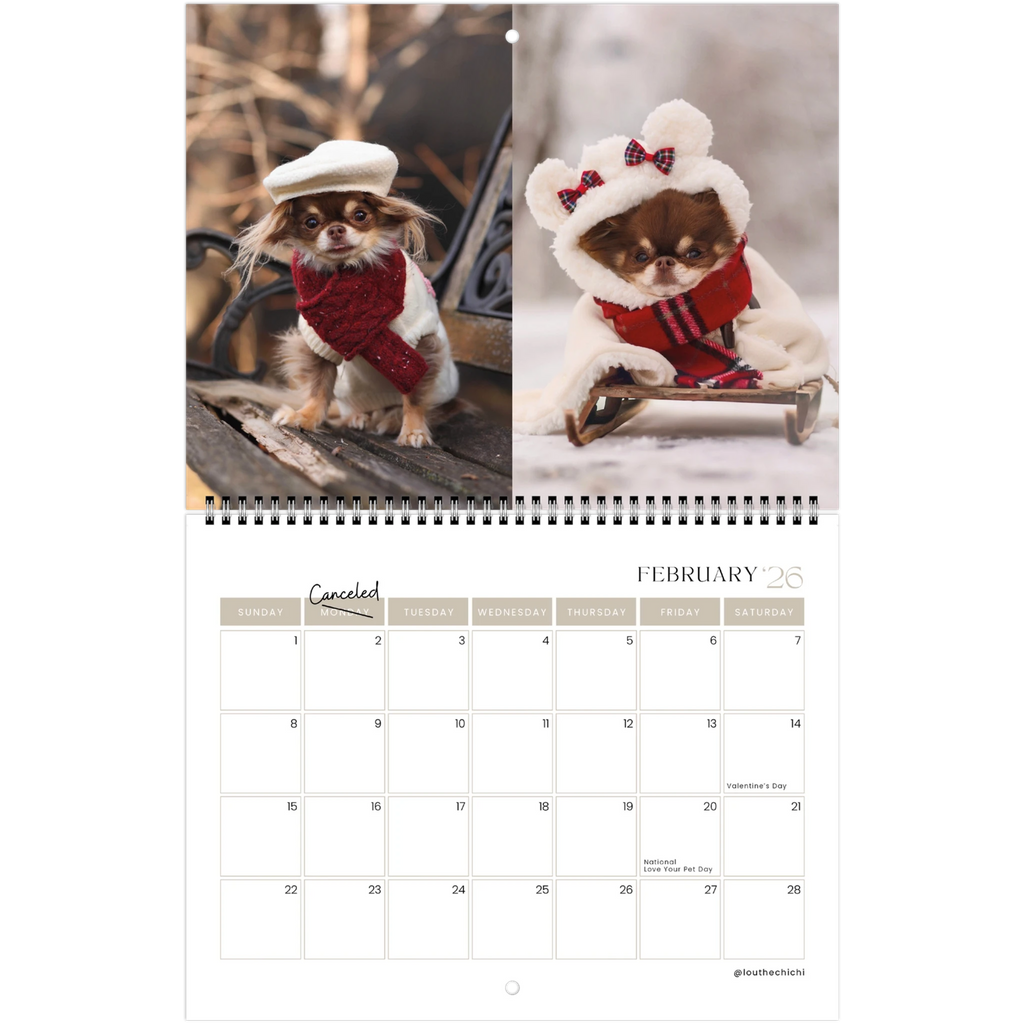 5075ad5f-4a27-41cc-8cf6-1fae63208552