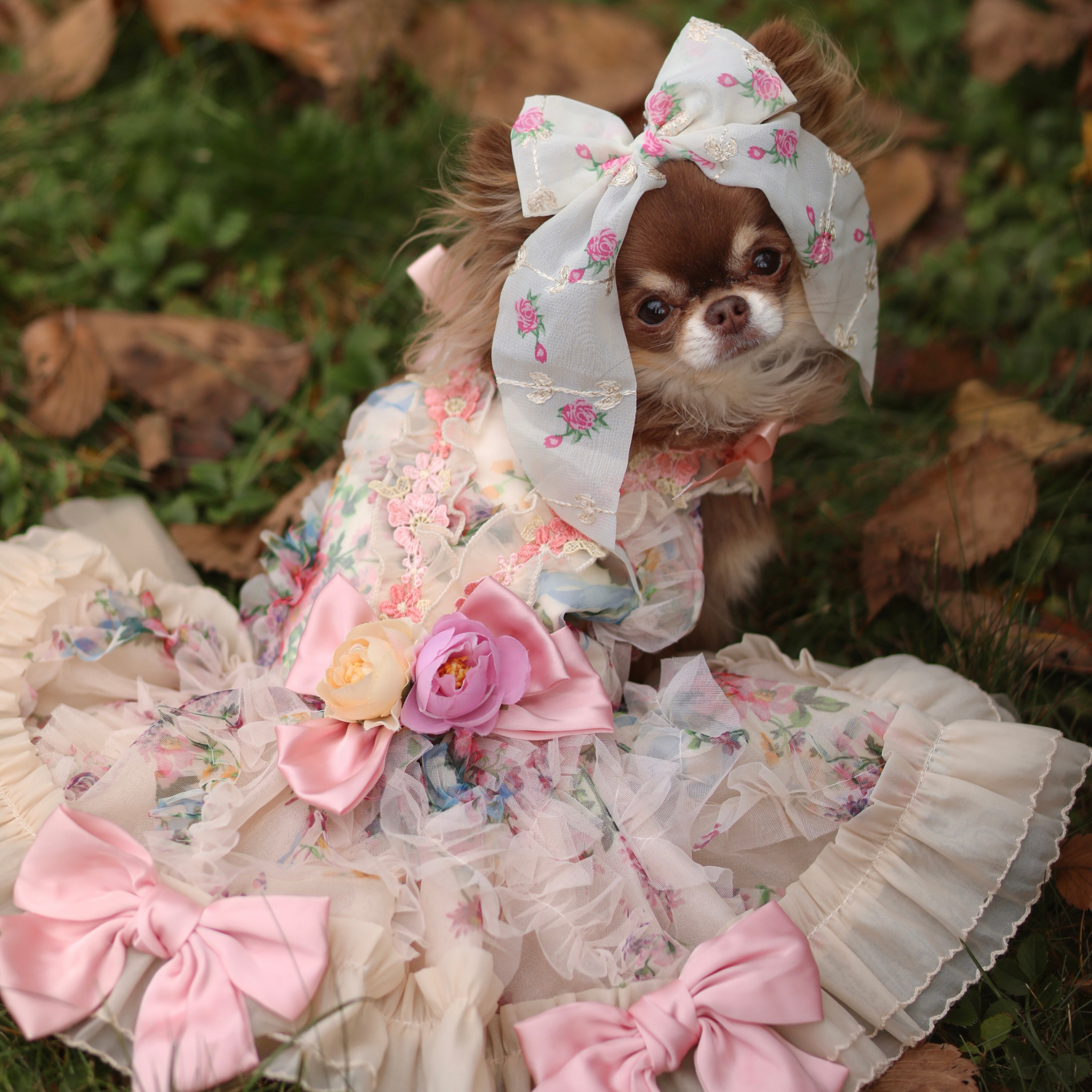 Rose Gown