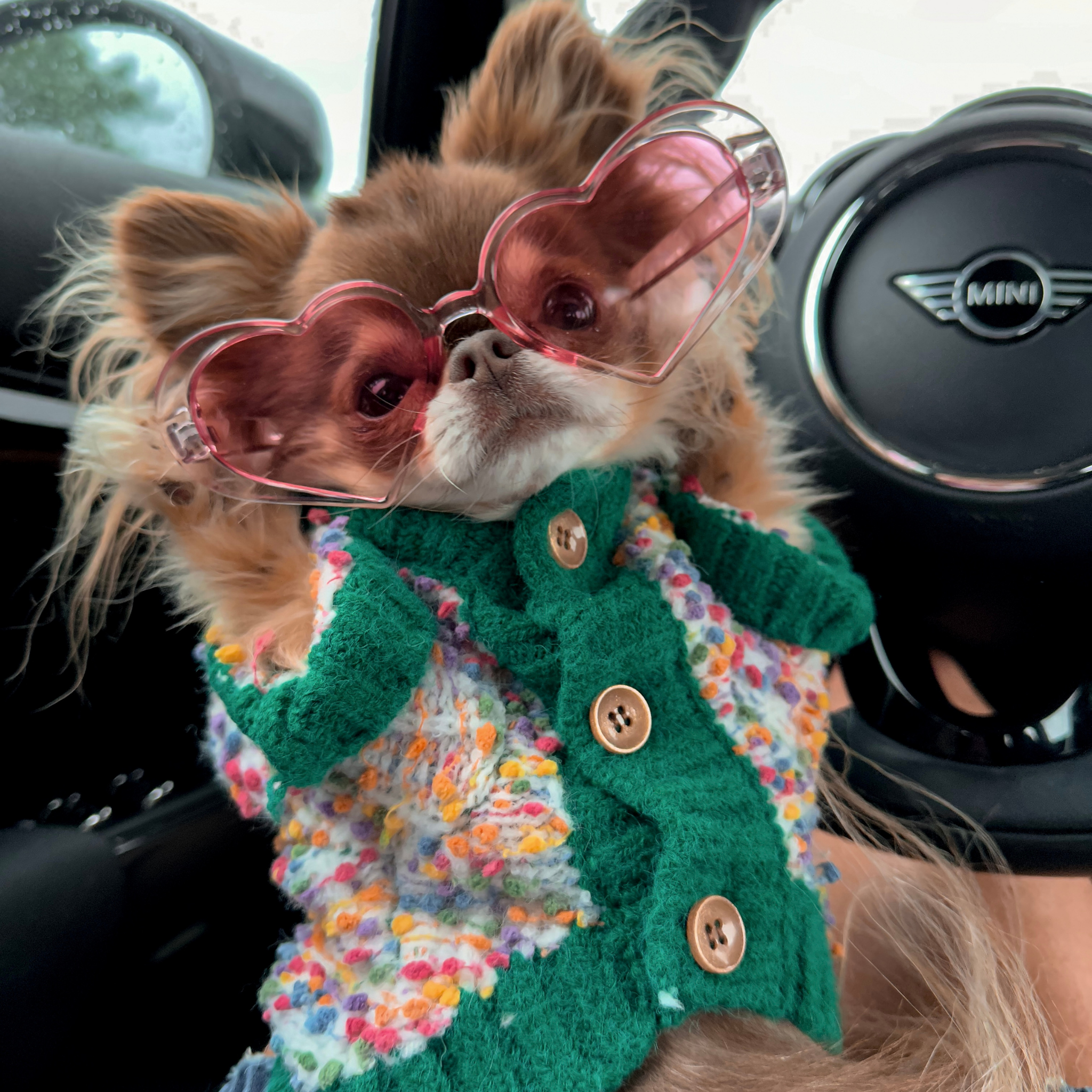 Sprinkles Knit Cardigan