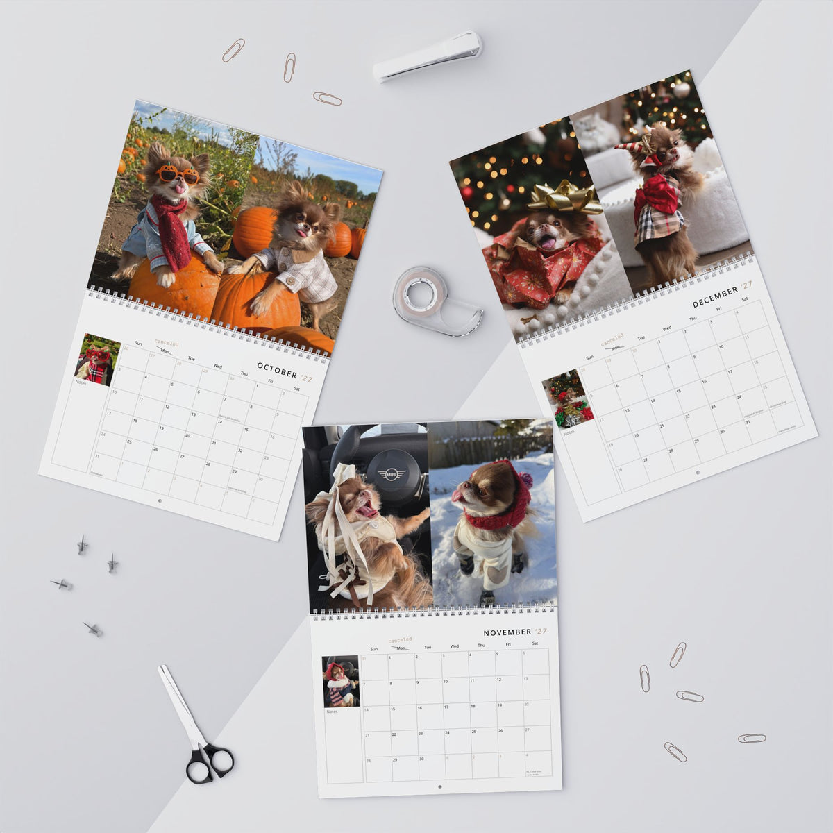 Lou the Chichi's 2027 Calendar