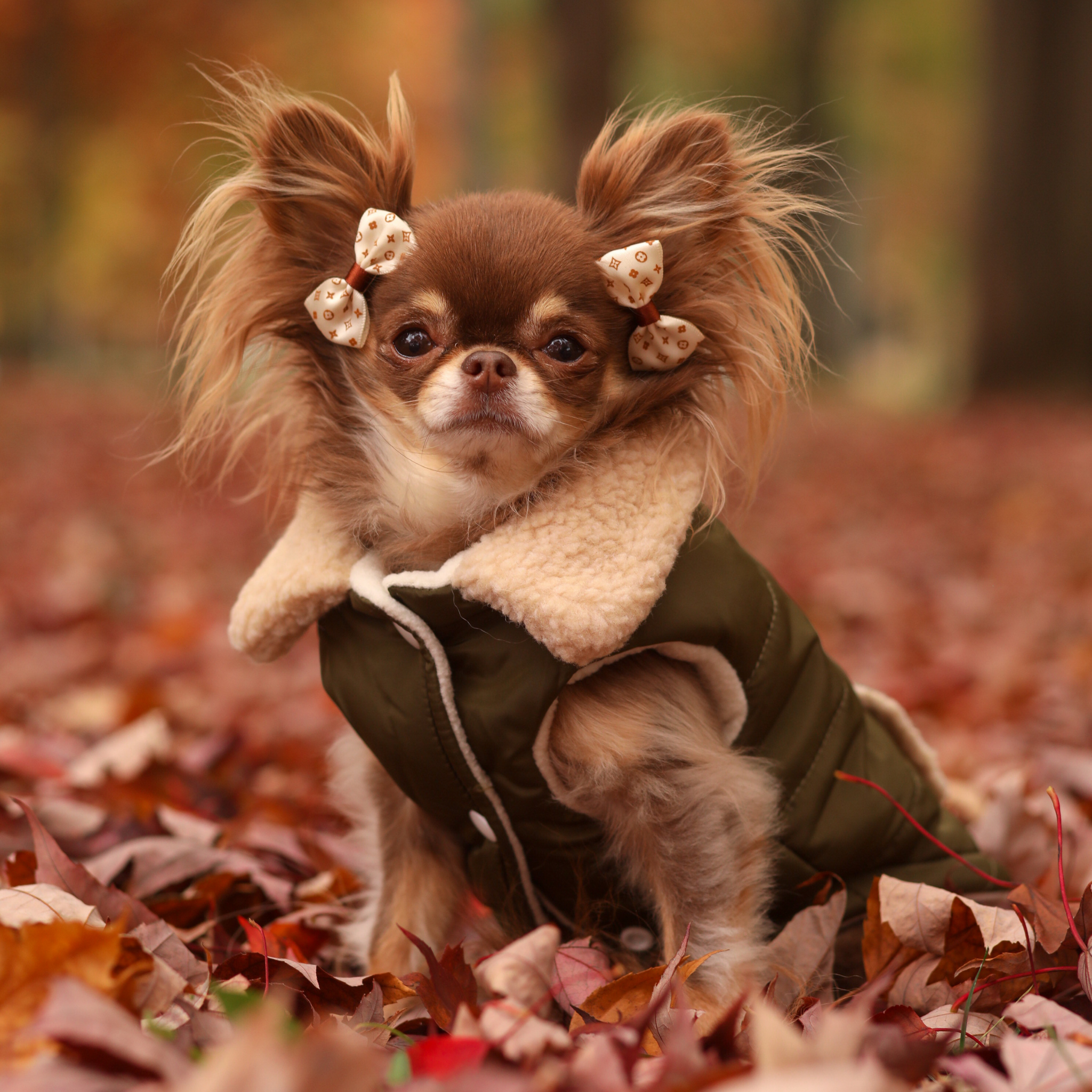 Khaki Fleece Coat