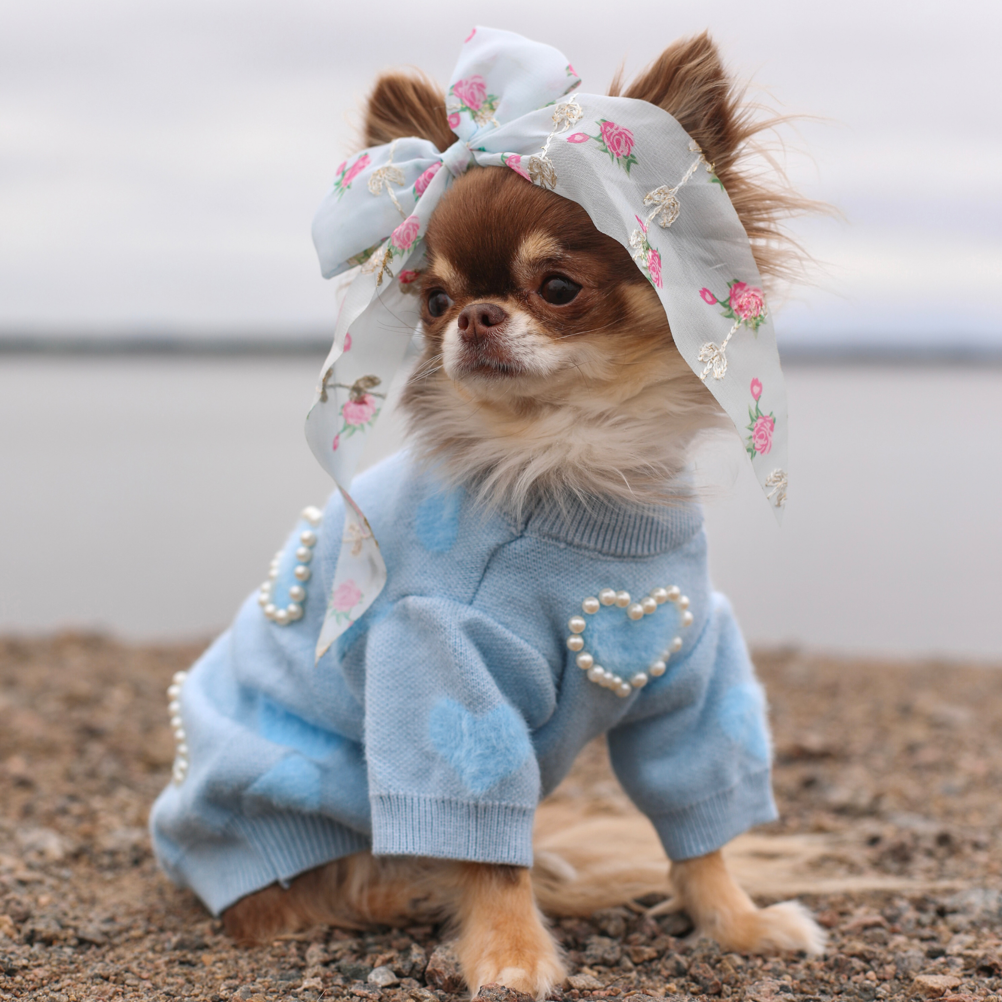 Pearly Hearts Knit - Blue