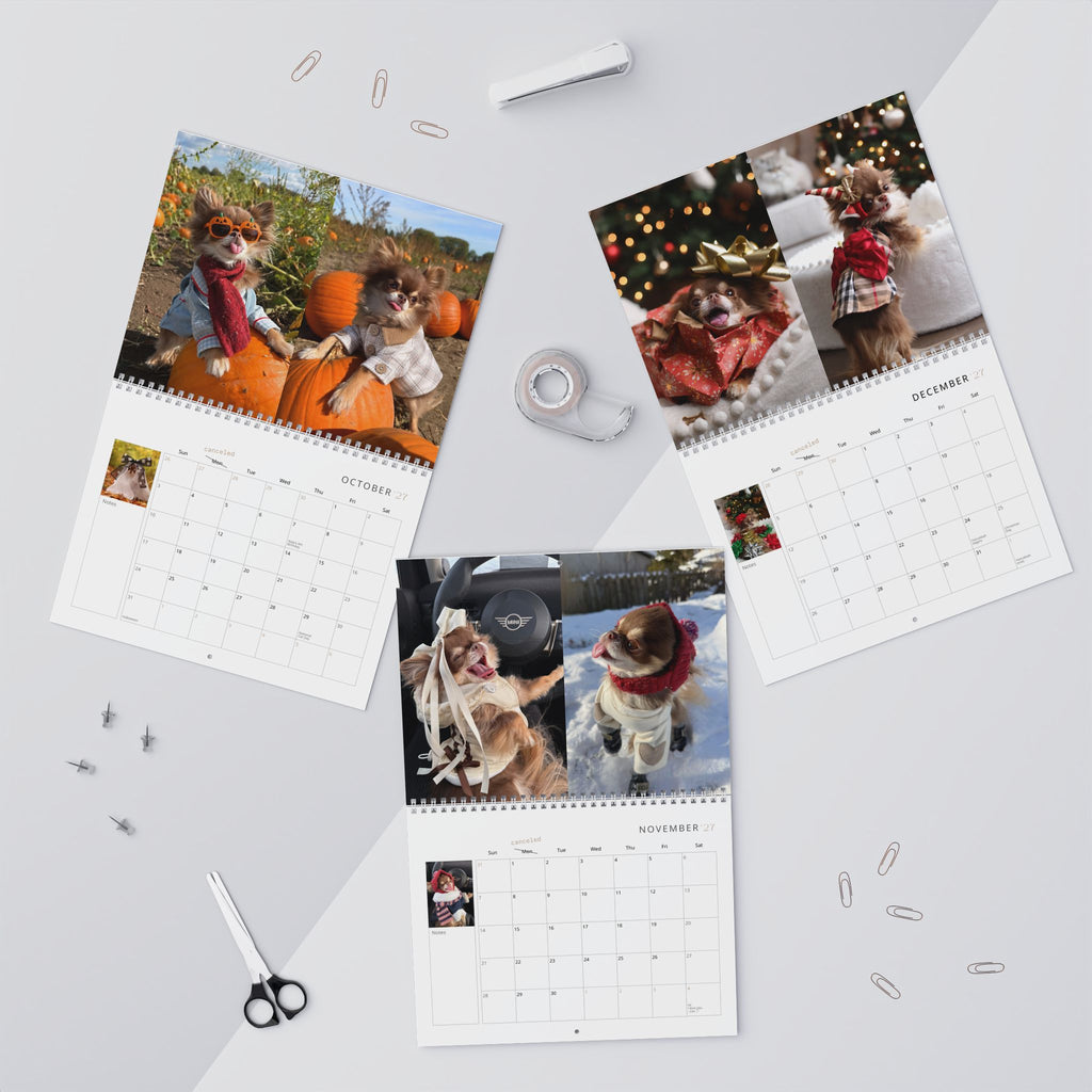 Lou the Chichi's 2027 Calendar (Pre-order)