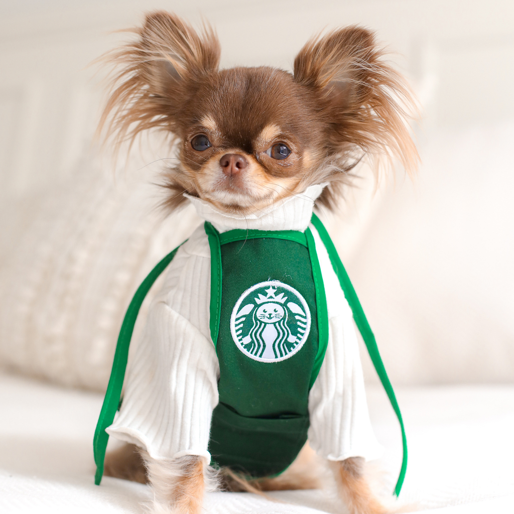 <transcy>Tablier Barista</transcy>