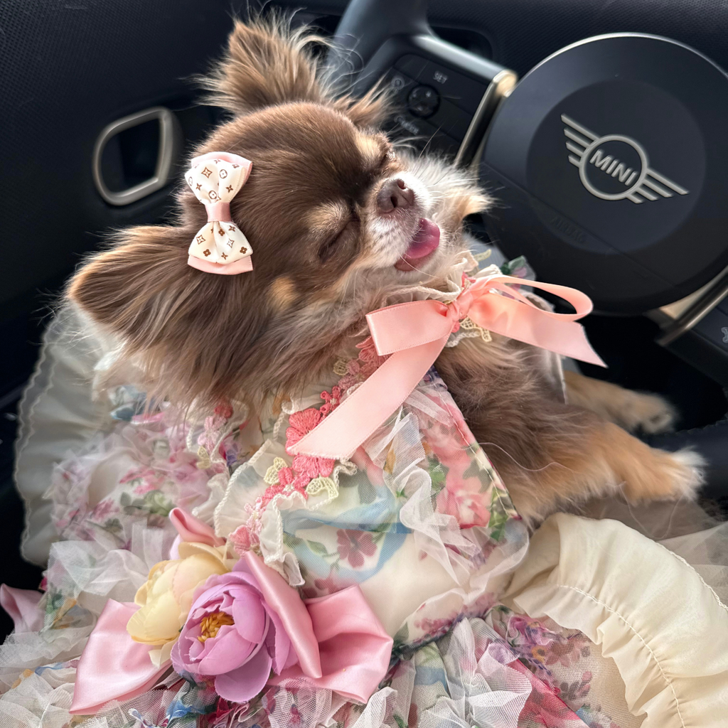Robe rose élégante