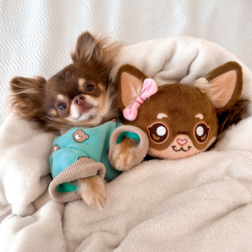 Bear Soft Onesie - Pyjama
