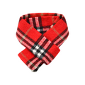 Plaid Scarf - Red