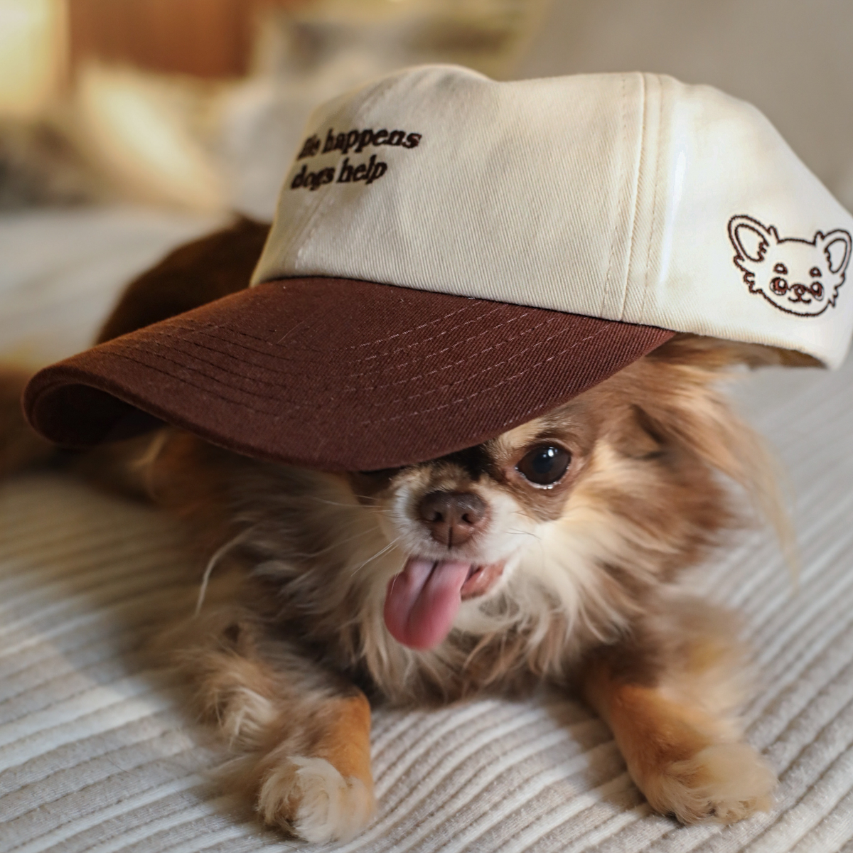 Casquette Lou the Chichi