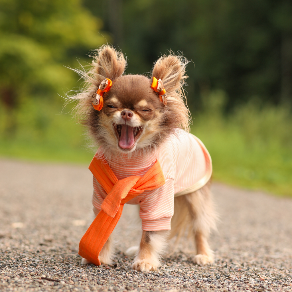 Striped Tee with Scarf - Orange