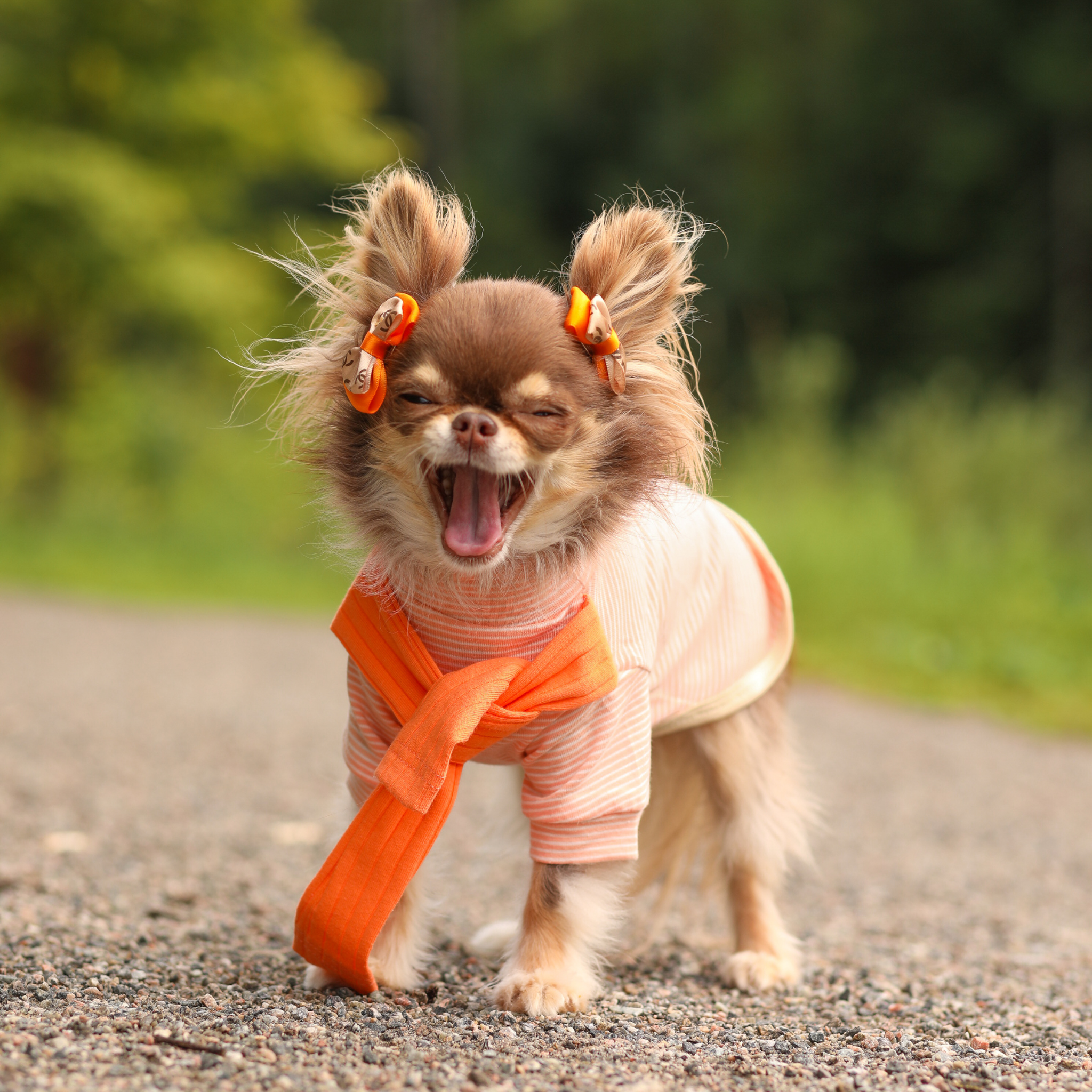 Striped Tee with Scarf - Orange