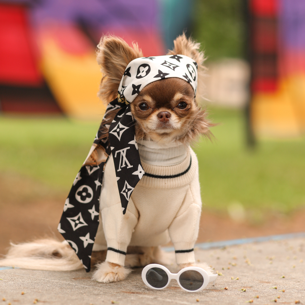 Bandana - Black