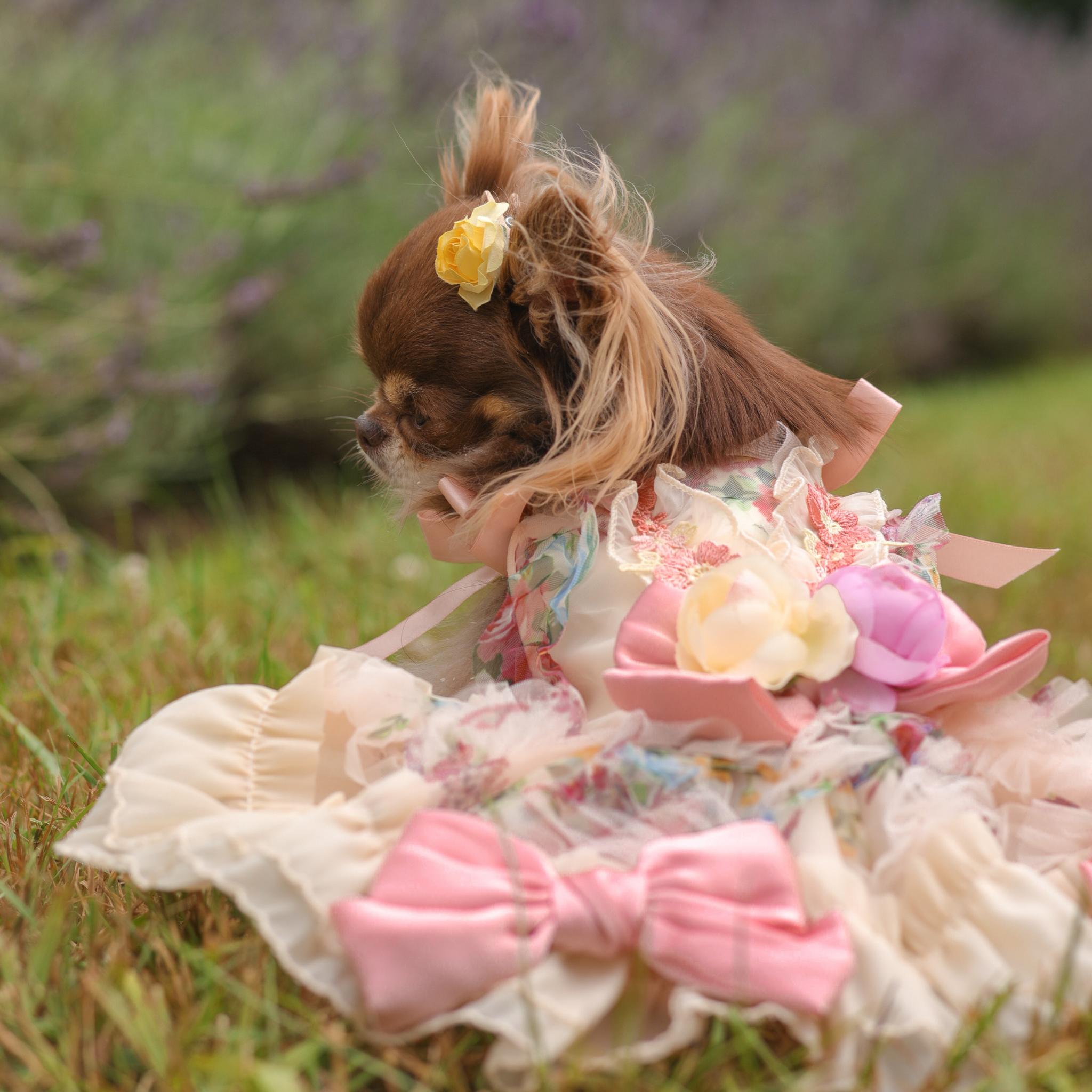 Rose Gown