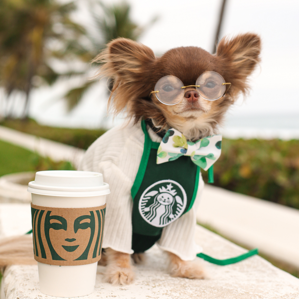 <transcy>Tablier Barista</transcy>