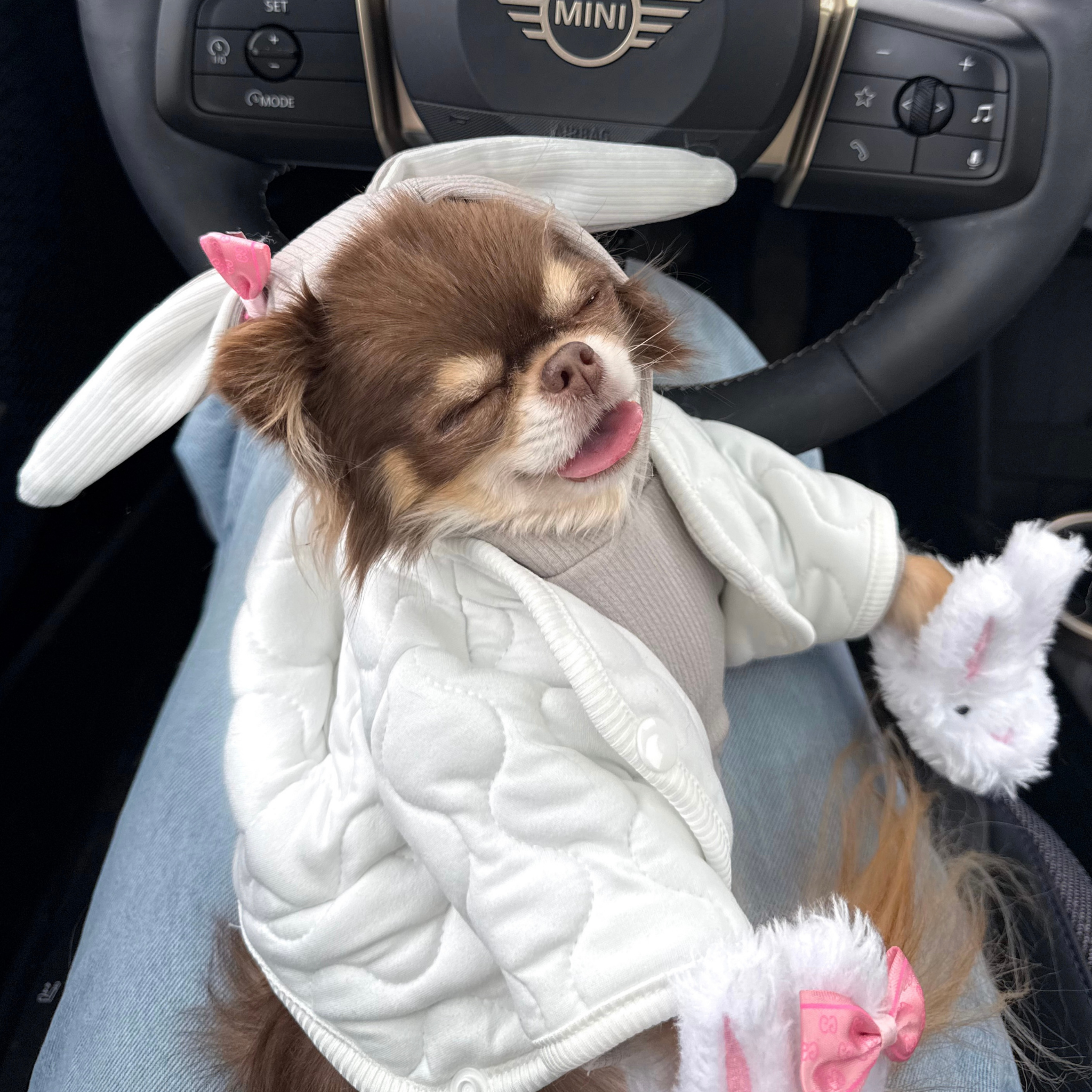 Hoodie Lapin