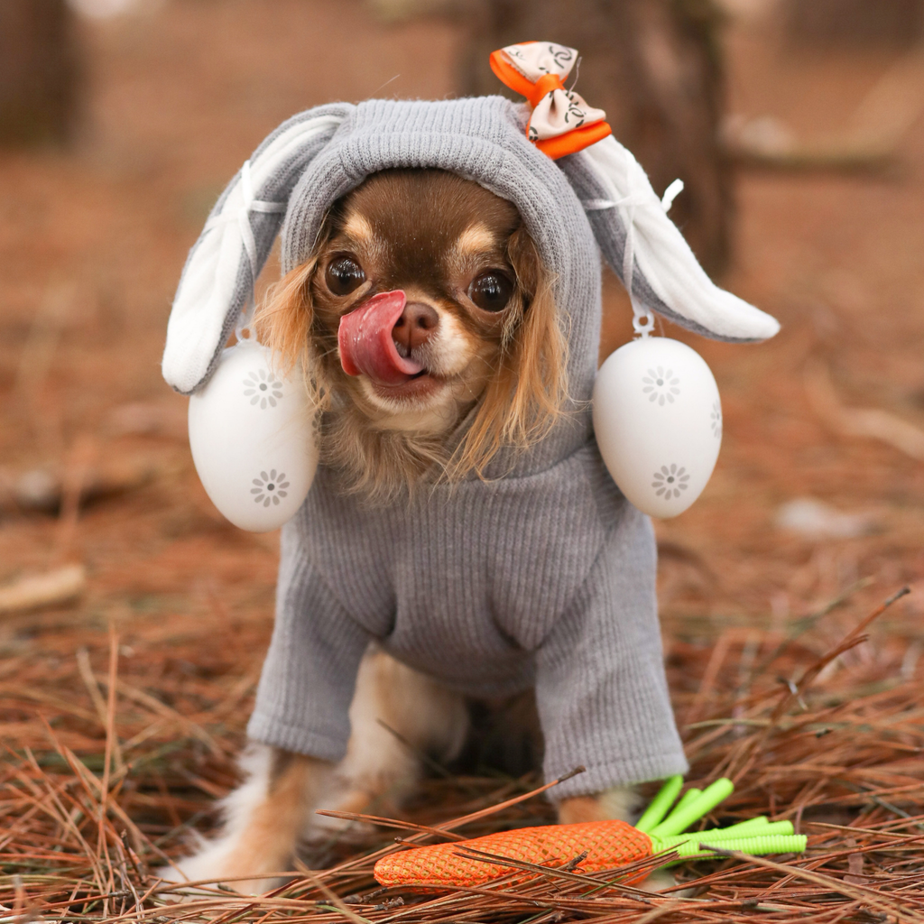 Hoodie Lapin