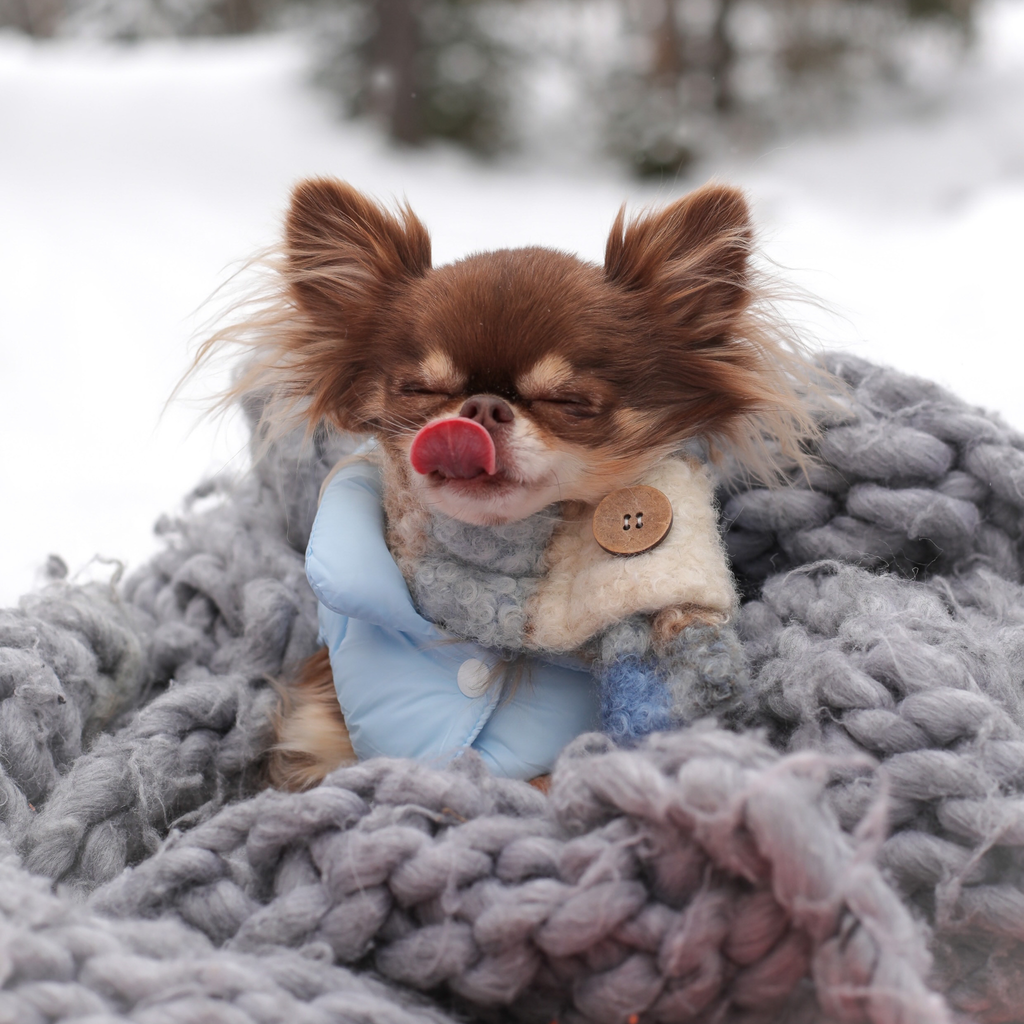 Wool Button Scarf