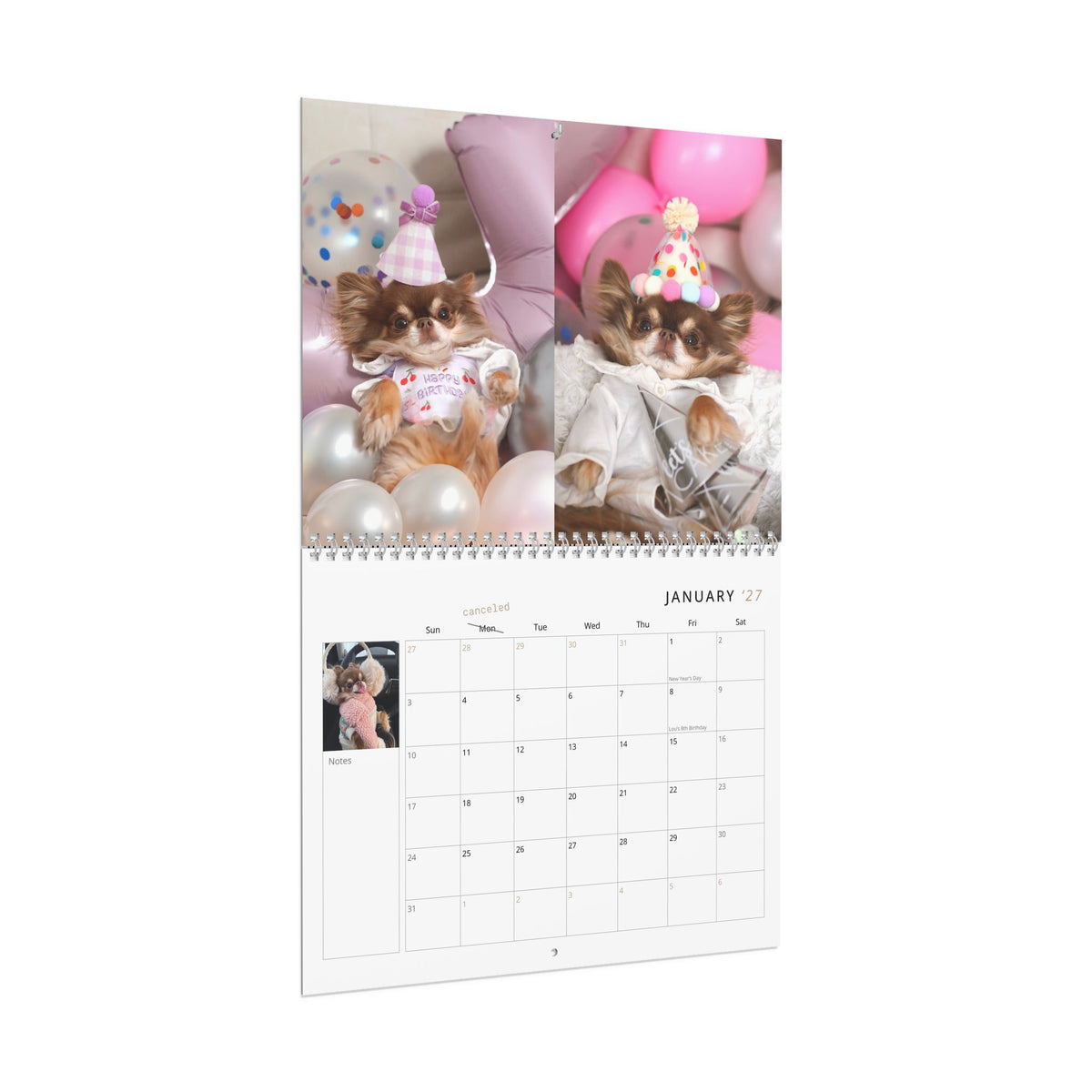 Lou the Chichi's 2027 Calendar