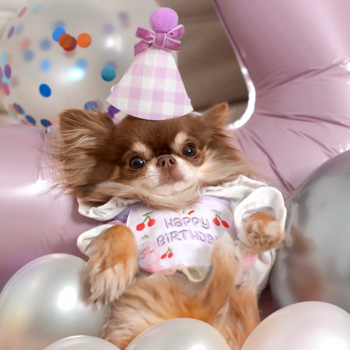 Ensemble d’anniversaire - Violet