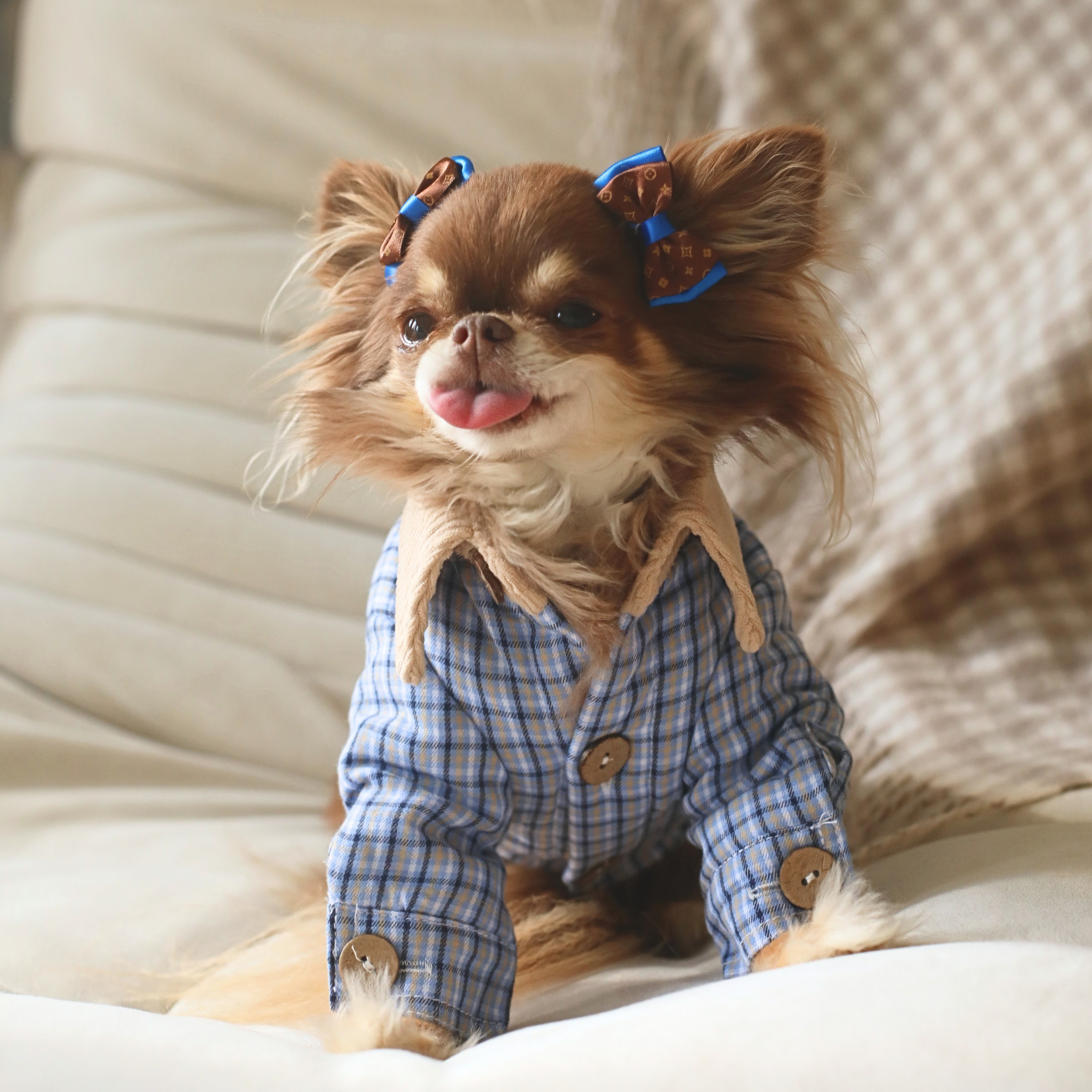 Plaid Button-Up Trench Coat - Blue