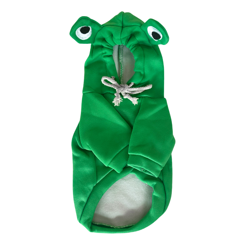 Hoodie grenouille