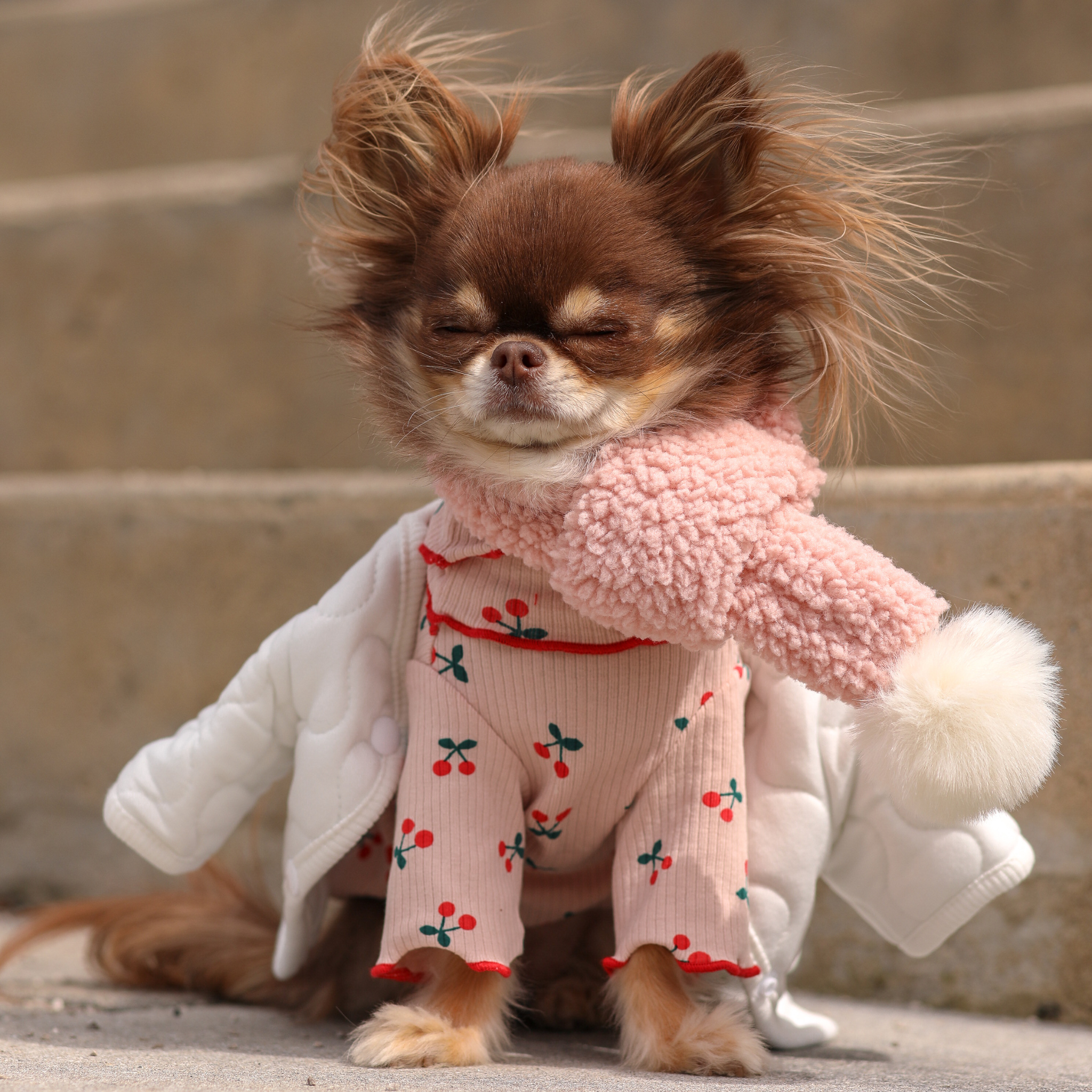 Cherry Ruffles Shirt