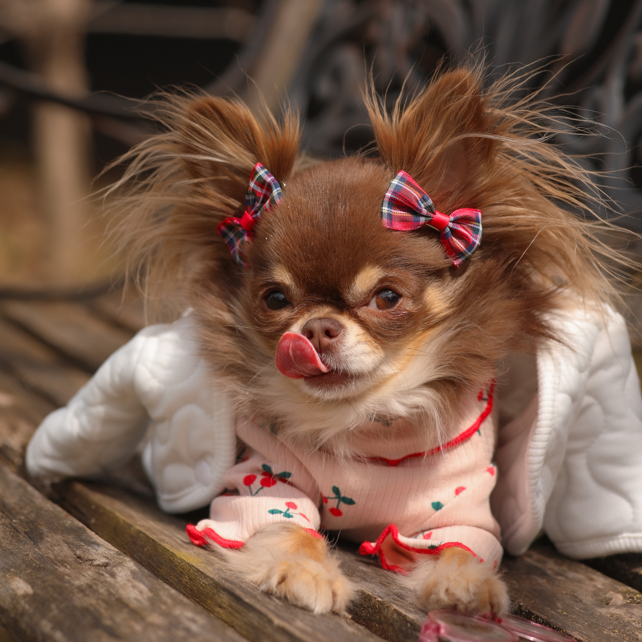 Cherry Ruffles Shirt