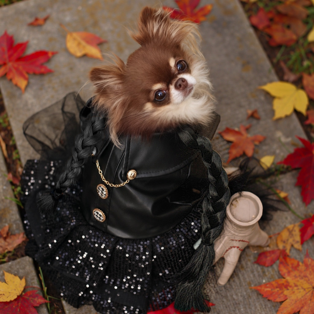 Wednesday Tulle Dress
