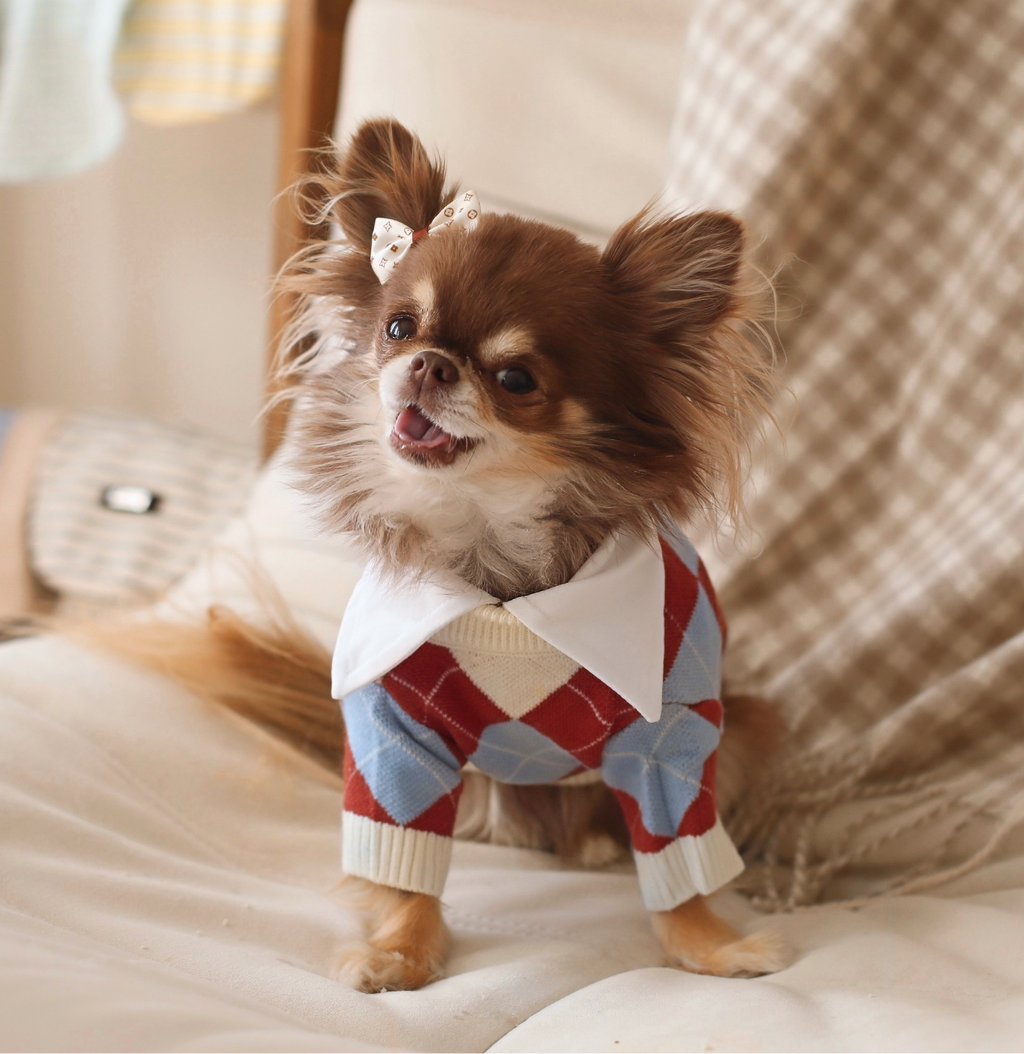Classic Argyle Knit Sweater