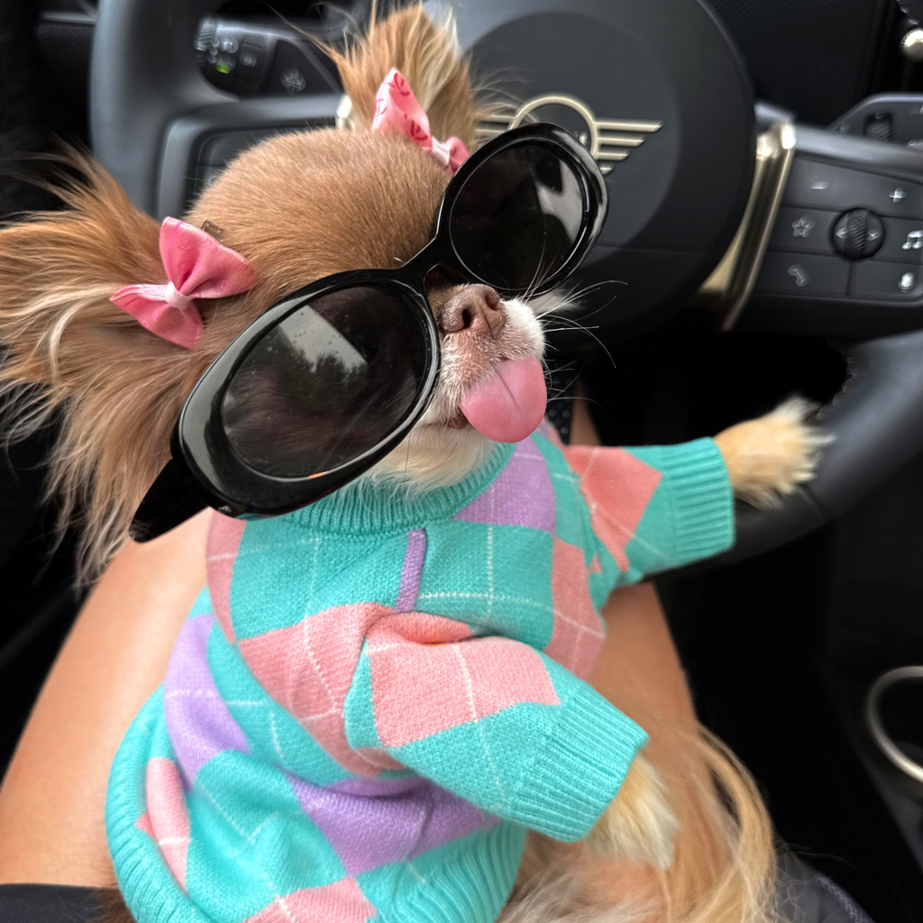 Pastel Argyle Knit Sweater