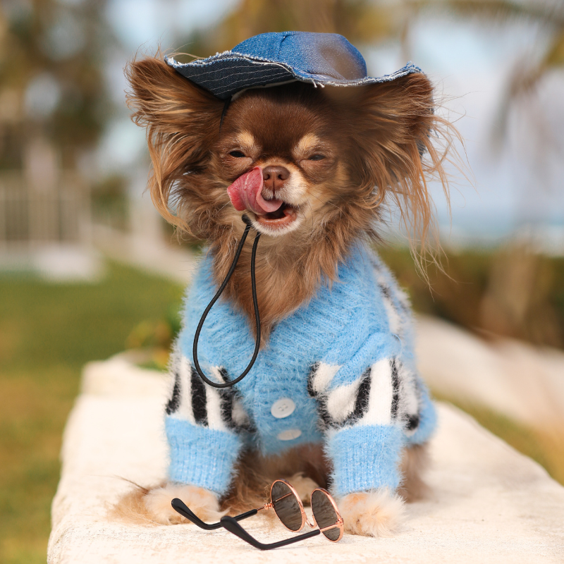 Denim Bucket Hat